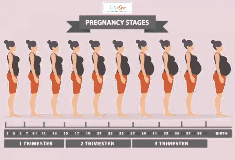 First Trimester (Weeks 1–12): Early Changes You Might Not Notice Brixton